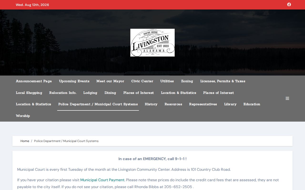 Livingston public safety and municipal arrest record page in Sumter County